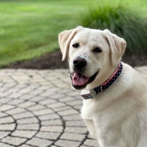 Meet your Posher, Patricia